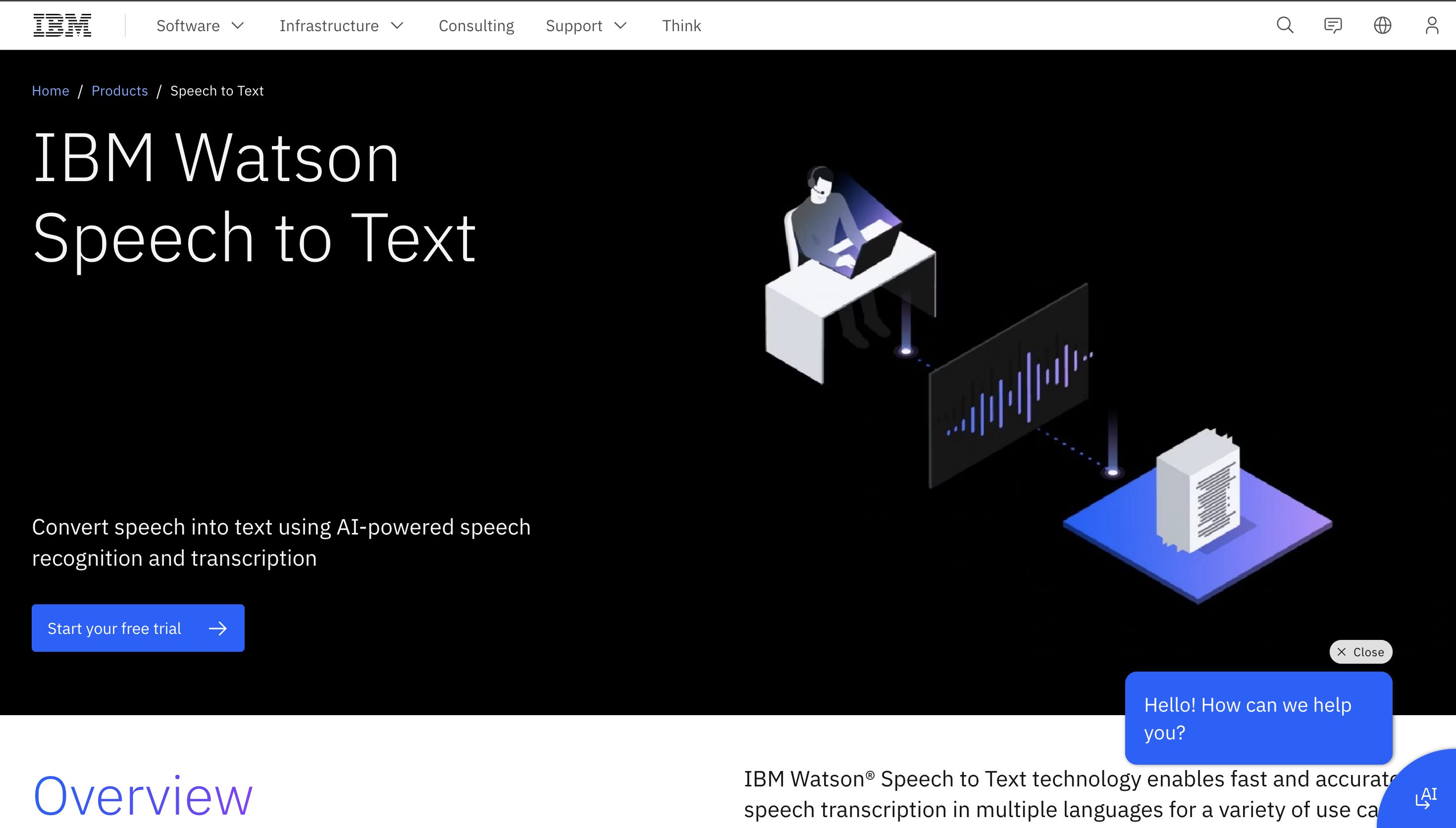 IBM Watson Speech screenshot