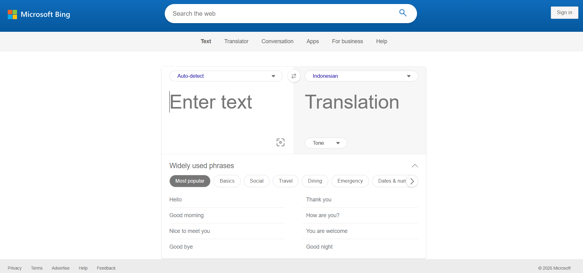 Bing Translator screenshot