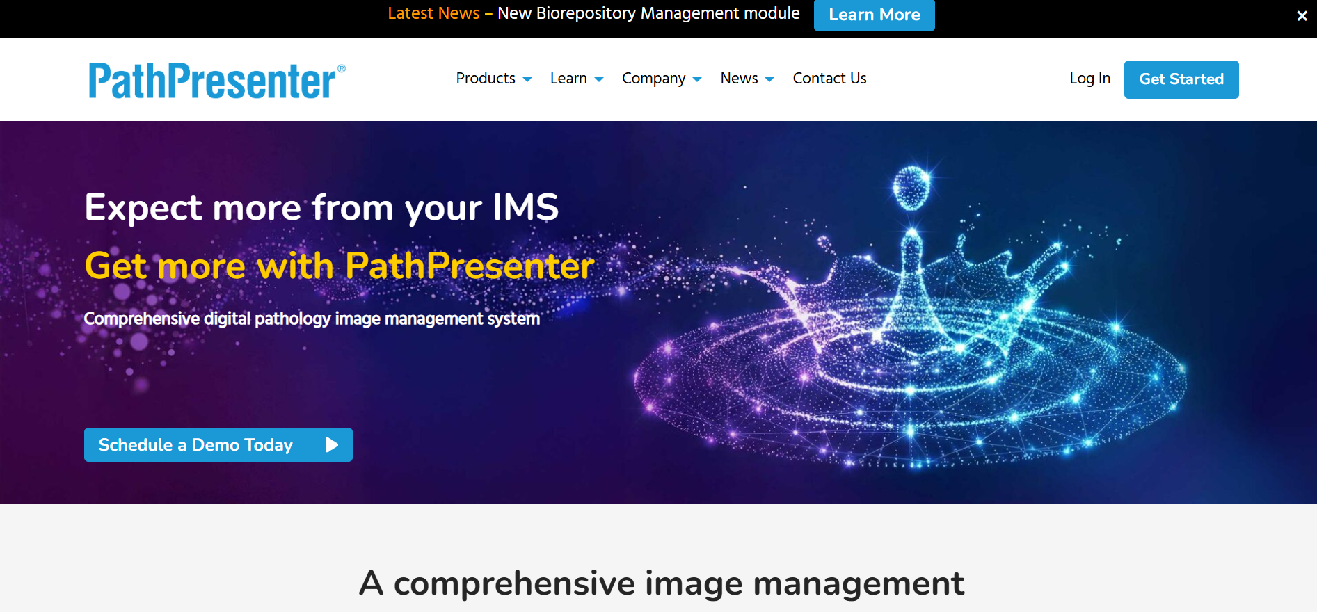 PathPresenter screenshot