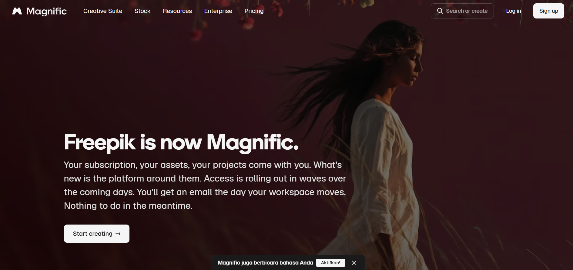 Magnific AI (Freepik) screenshot
