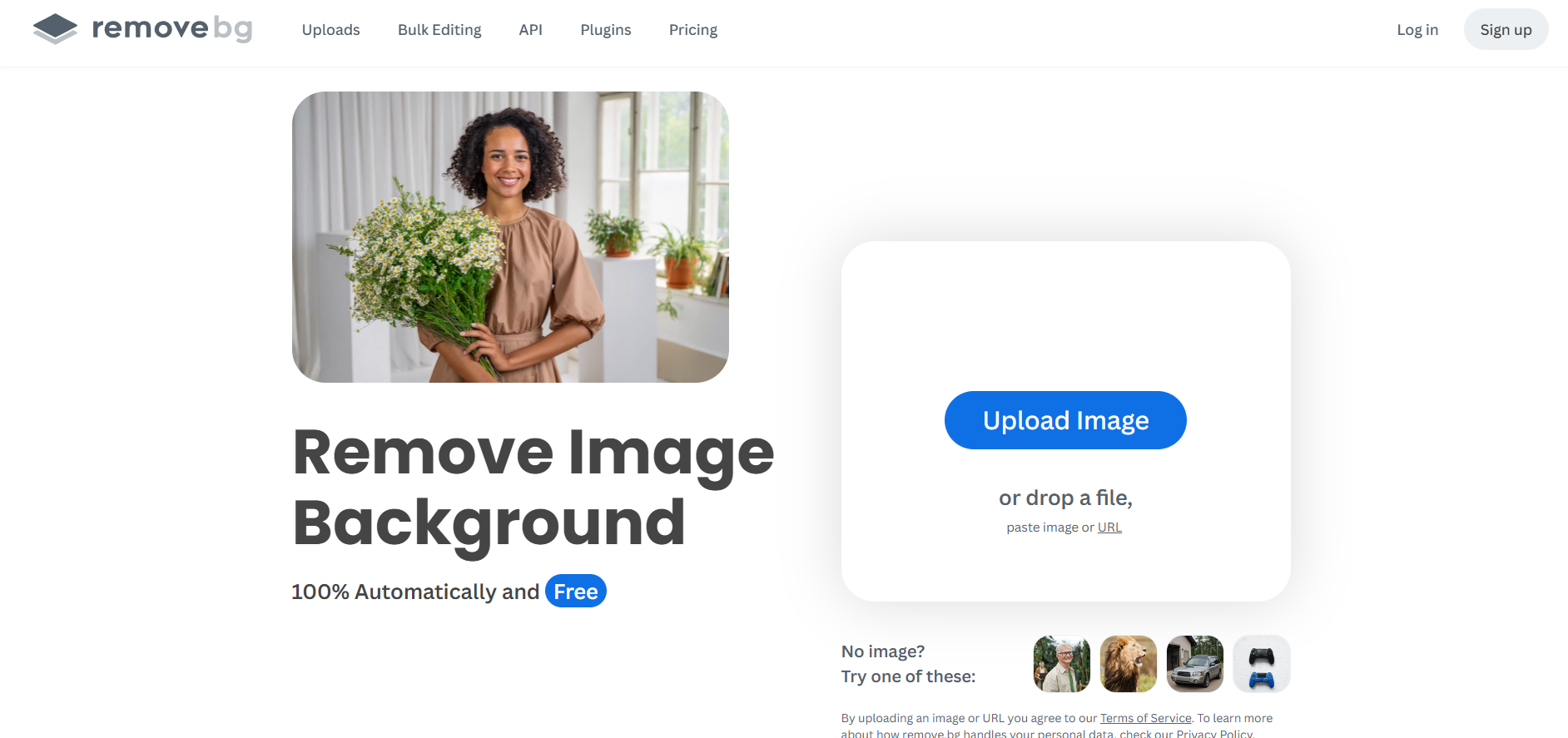 remove.bg screenshot