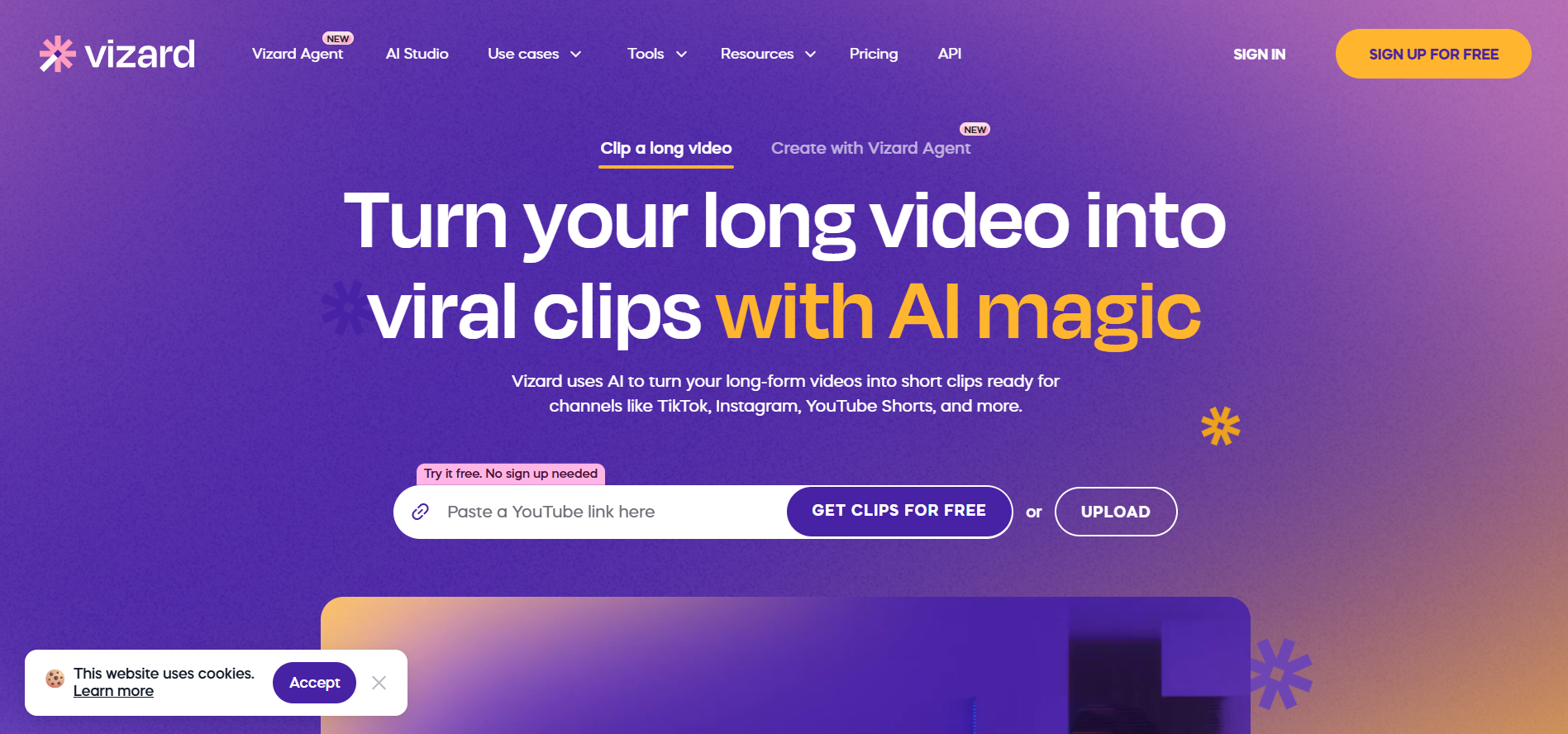 Vizard screenshot