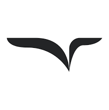 Freed AI logo